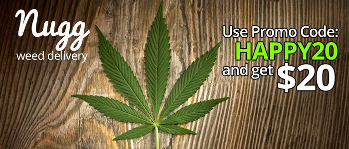 Nugg Promo Code: Get $20 off and read our Nugg Review! @GetNugg 