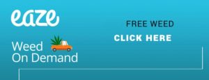 EAZE PROMO CODES | 30% off Free Weed Delivery code: HAPPY100