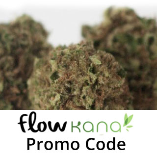 Flow Kana Promo Code: Use our Flow Kana Promo Code and read our review!