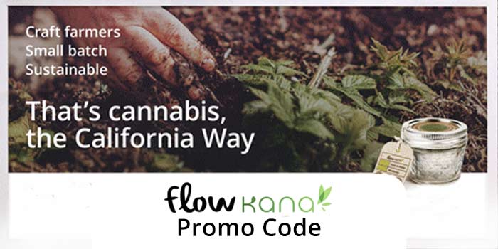 Flow Kana Promo Code: Use our Flow Kana Promo Code and read our review!