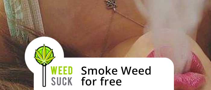 Smoke Weed for Free: Get over $200 off weed delivery