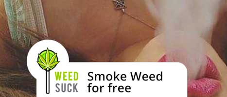 Smoke weed for free: Get Free Medical Marijuana