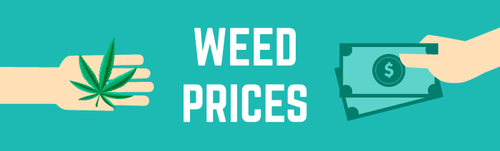 Weed Prices: Get $80 free weed from the GreenRush Online Medical Marijuana Clinic with code HAPPY80