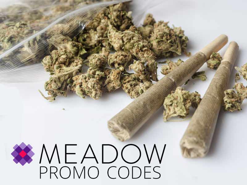 Click here to use the Meadow Promo Codes from our Eaze vs Meadow review.